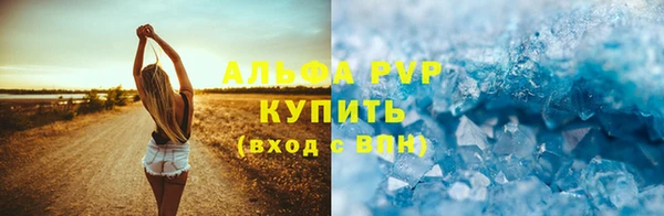 ПСИЛОЦИБИНОВЫЕ ГРИБЫ Кулебаки