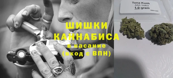 прущие грибы Ладушкин