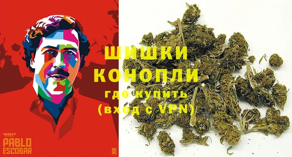 прущие грибы Ладушкин