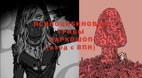 ПСИЛОЦИБИНОВЫЕ ГРИБЫ Кулебаки