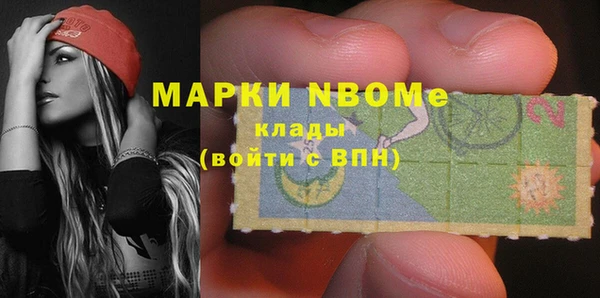 прущие грибы Ладушкин