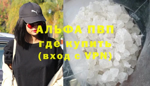 прущие грибы Ладушкин