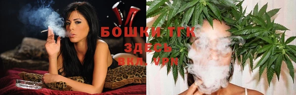 ПСИЛОЦИБИНОВЫЕ ГРИБЫ Кулебаки