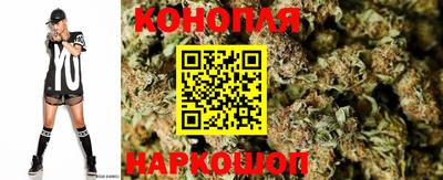 PSILOCYBIN Кизилюрт