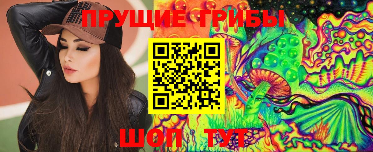 Мончегорск  Псилоцибиновые грибы MAGIC MUSHROOMS  Вход с VPN 