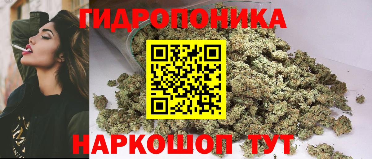 Канабис тримм Мончегорск